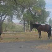 Review photo of Developed 7 — Lahontan State Recreation Area by Daniel E., August 19, 2026