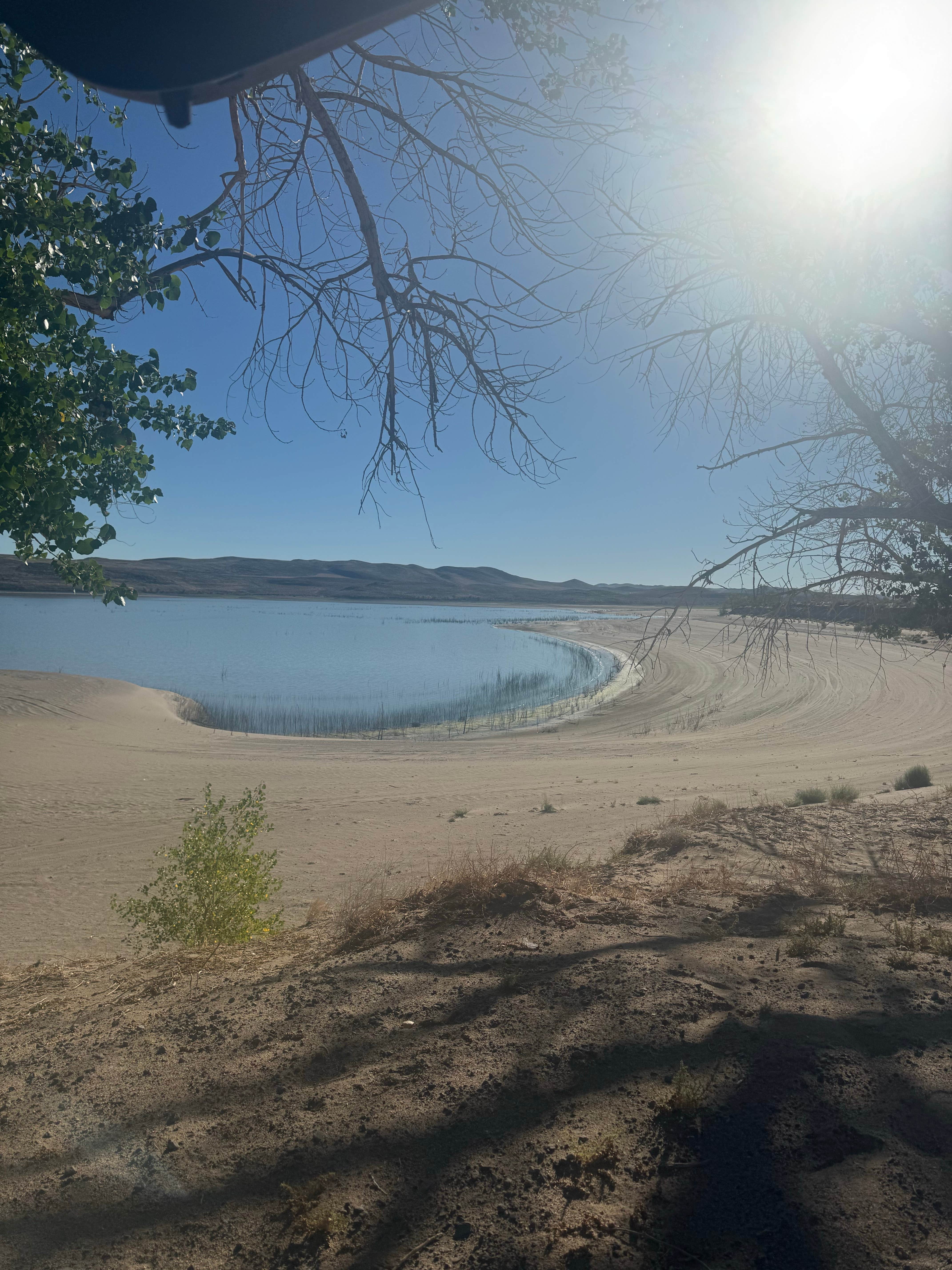 Camper-submitted photo at Developed 7 — Lahontan State Recreation Area near Washoe Valley, NV