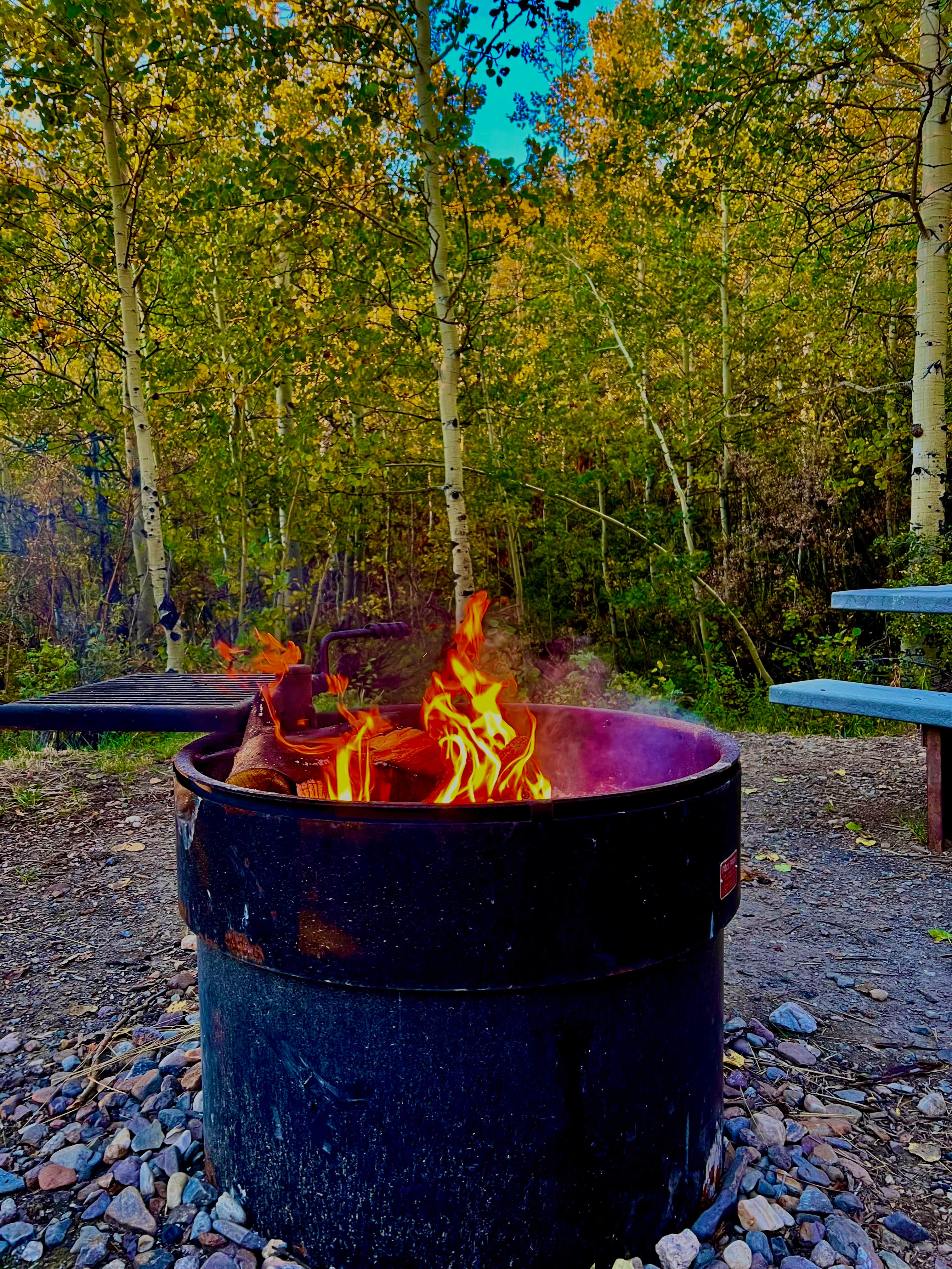 Camper-submitted photo at Lye Creek near Paradise Valley, NV