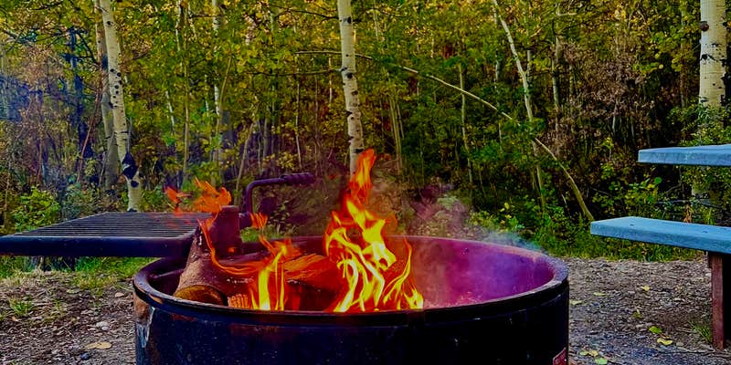 Camper submitted image from Lye Creek