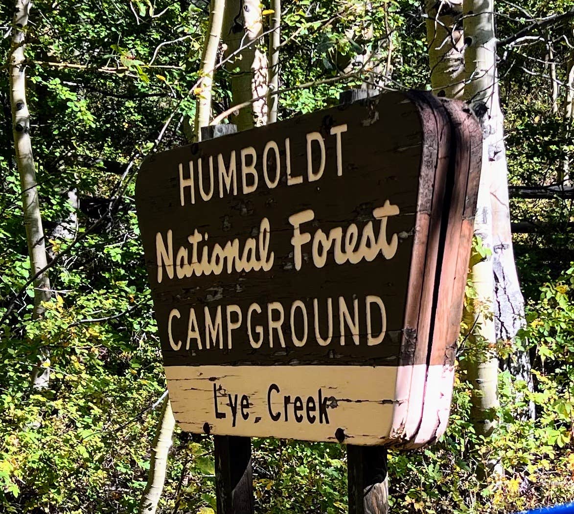 Camper-submitted photo at Lye Creek near Paradise Valley, NV