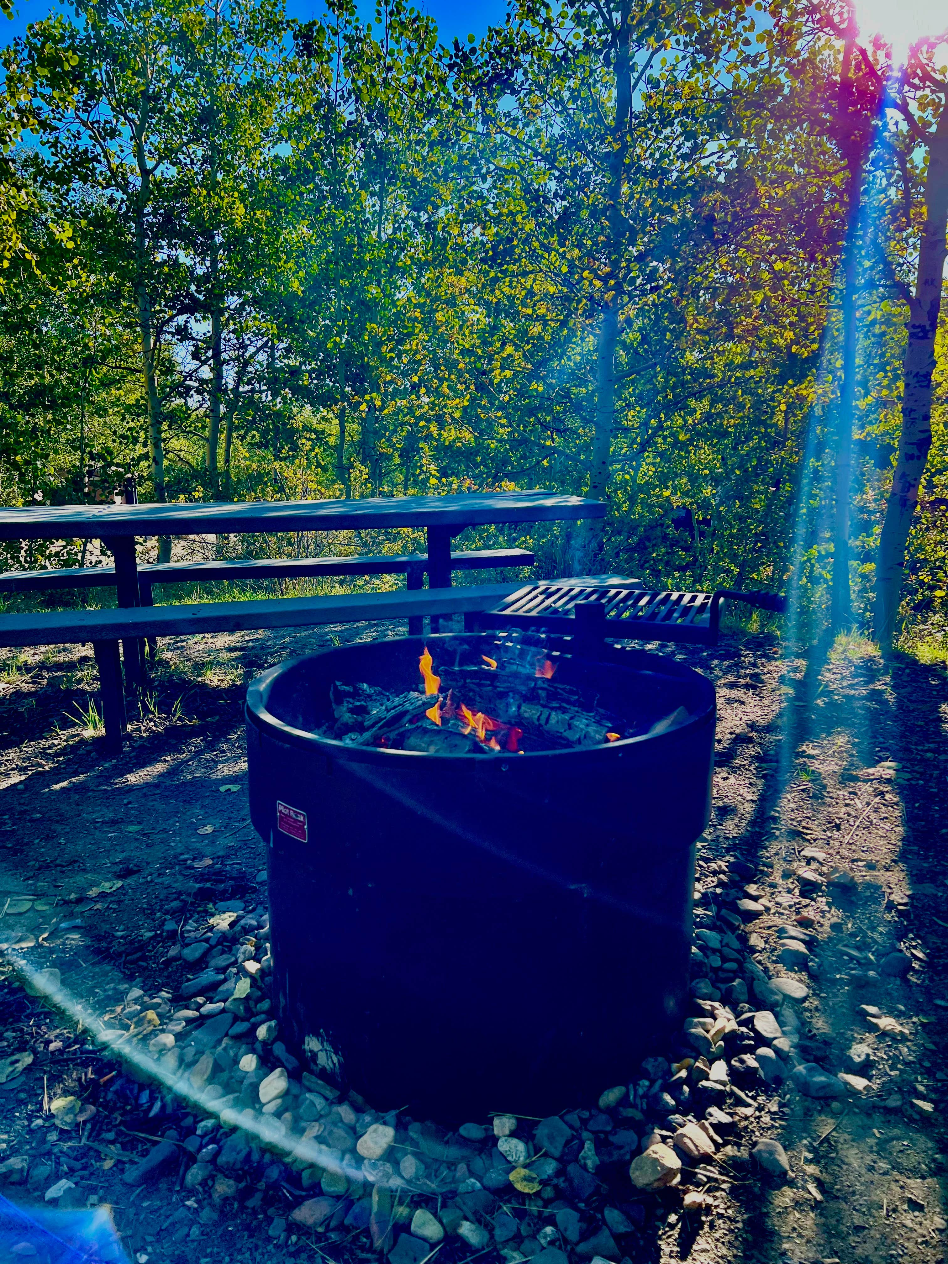 Camper-submitted photo at Lye Creek near Paradise Valley, NV