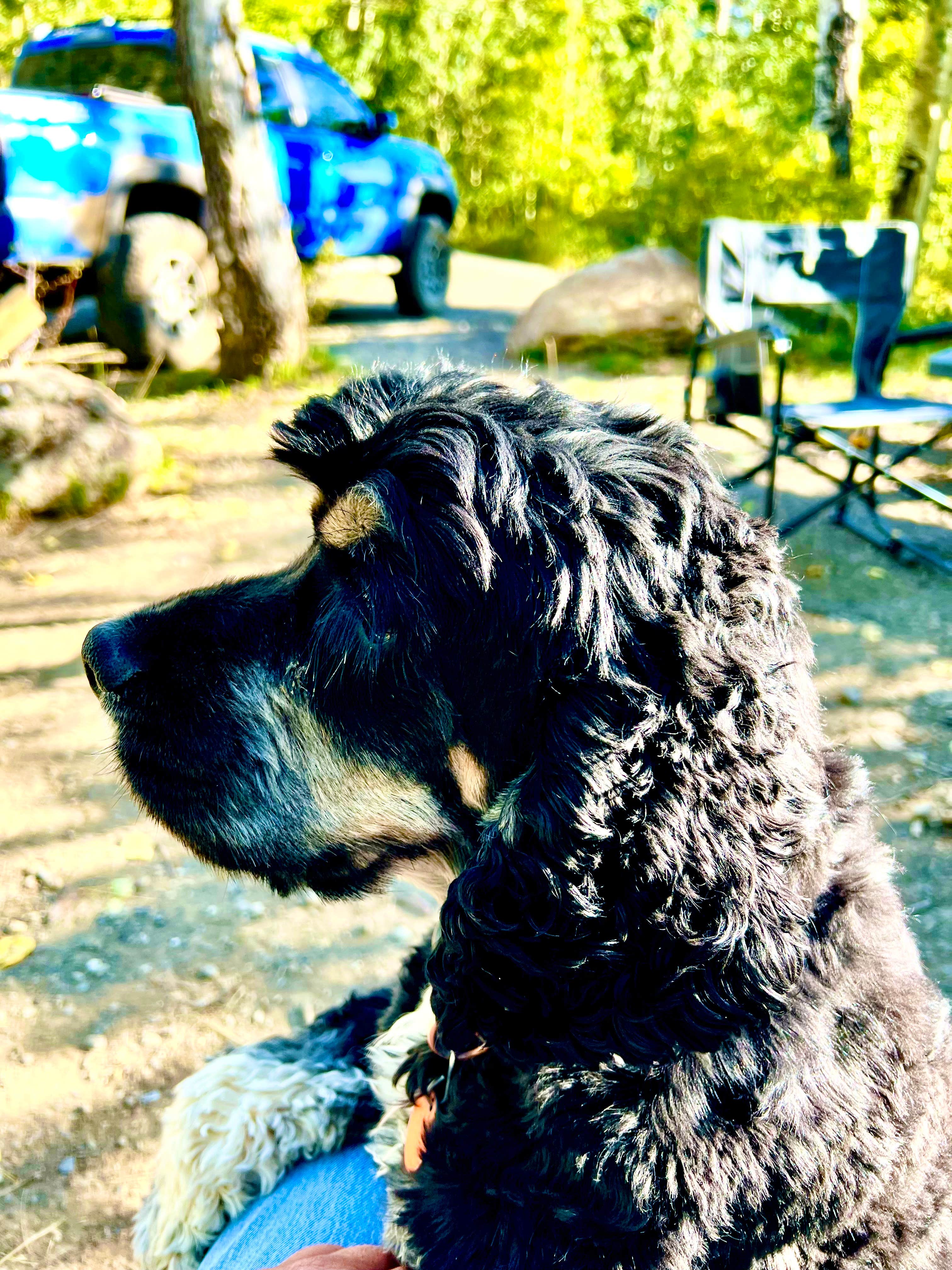 Camper-submitted photo at Lye Creek near Paradise Valley, NV