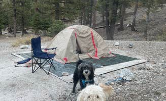 Restituto F.'s photo at McWilliams Campground in Nevada