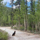 Review photo of McWilliams Campground by susan F., July 25, 2026