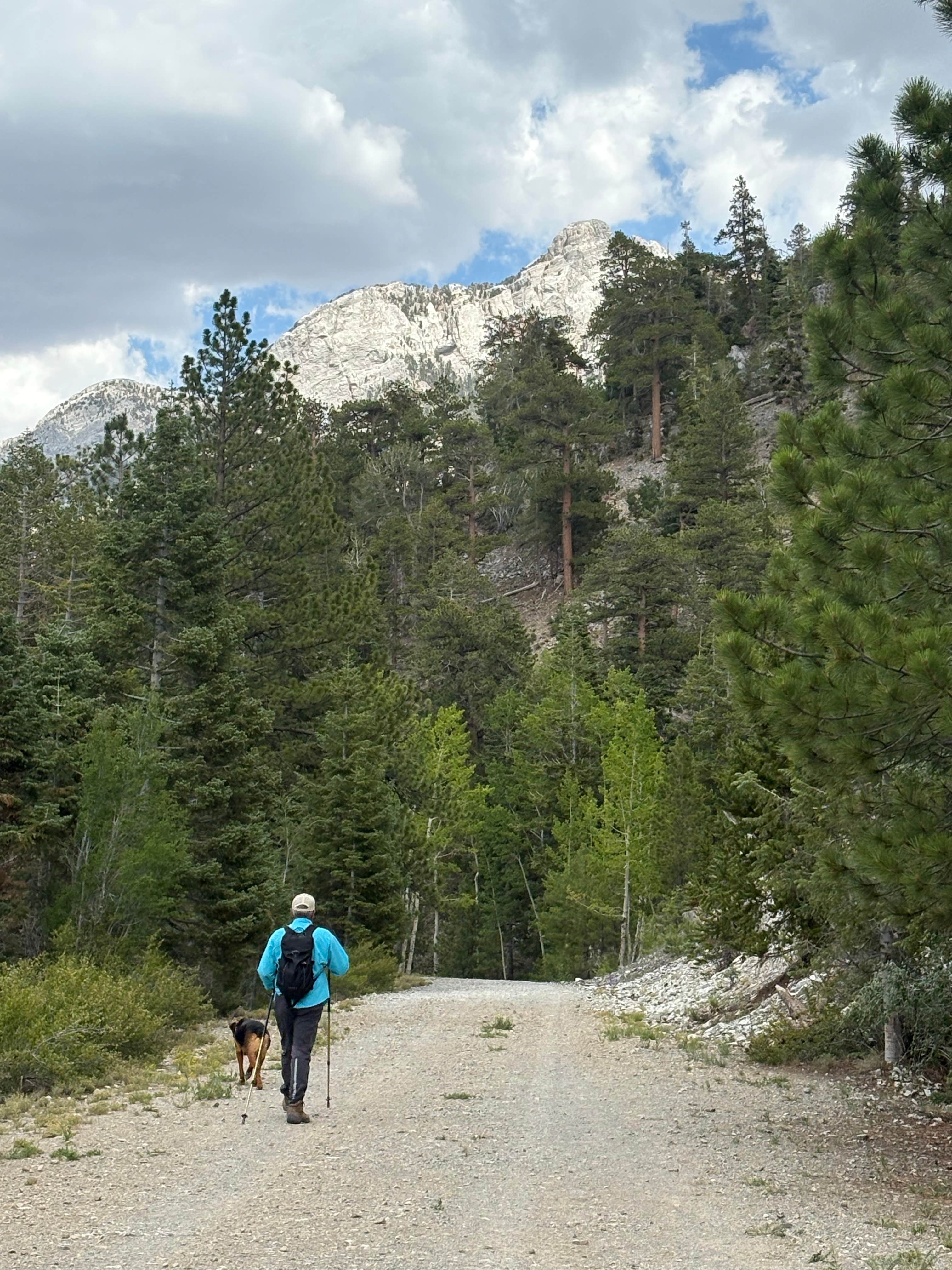 susan F.'s photo of camping with pets at McWilliams Campground near Blue Diamond, NV