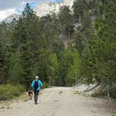 Review photo of McWilliams Campground by susan F., July 25, 2026