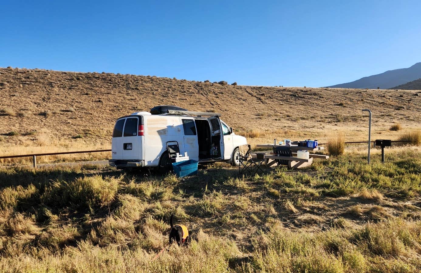 Fred S.'s photo of camping with pets at Mill Creek Recreation Area near Battle Mountain, NV
