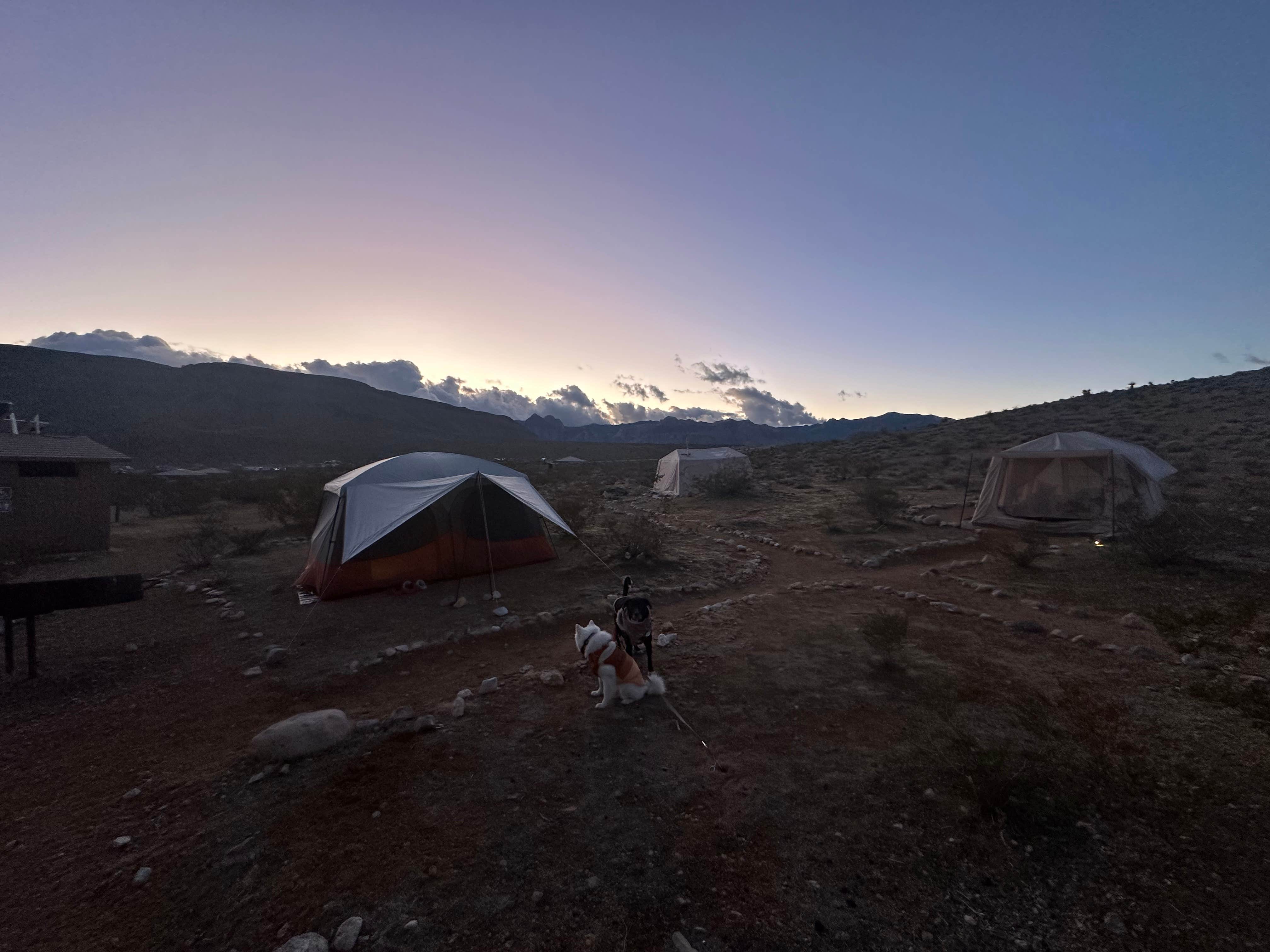 Stephanie S.'s photo at Red Rock Canyon National Conservation Area - Red Rock Campground near Sloan, NV