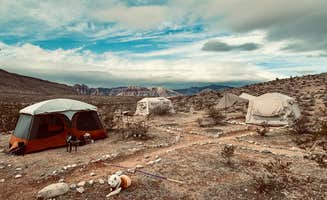 Stephanie S.'s photo at Red Rock Canyon National Conservation Area - Red Rock Campground near Nellis Air Force Base, NV