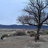 Review photo of Rye Patch State Recreation Area by Jaclyn L., December 21, 2025