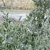 Review photo of Rye Patch State Recreation Area by Lydia P., July 20, 2025