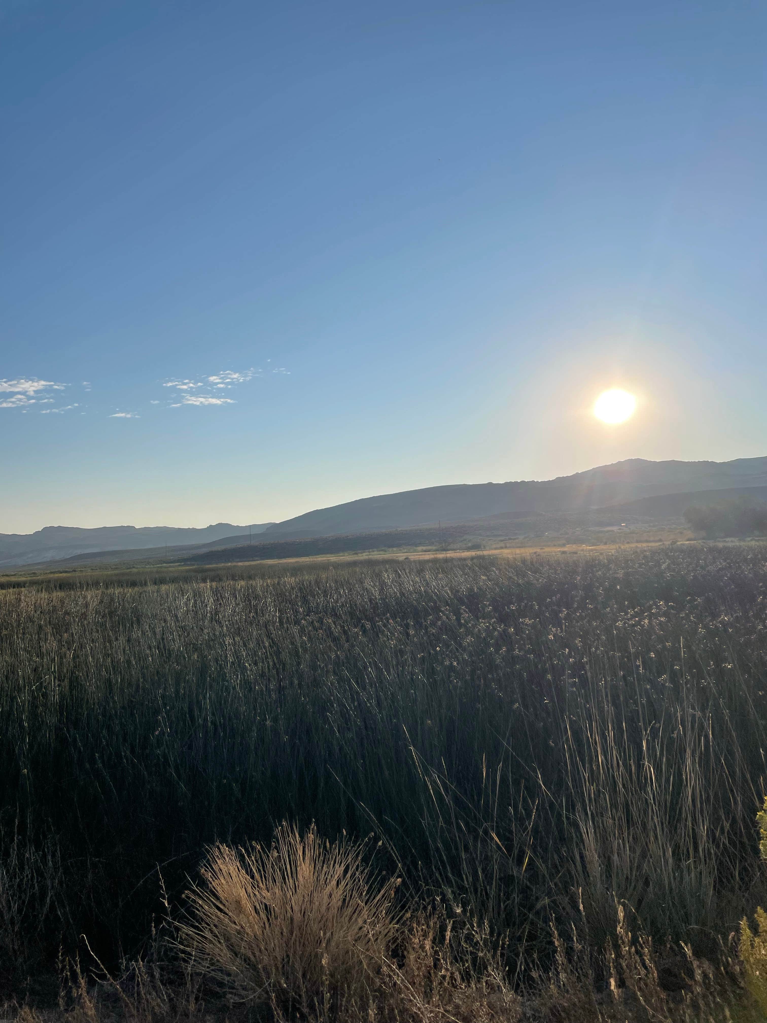 Camper-submitted photo at Virgin Valley Campground near Denio, NV