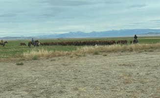 Debbie H.'s photo of camping with a horse at Sportsman's Beach in Nevada