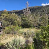 Review photo of lower Lehman Creek Campground — Great Basin National Park by Shawn S., May 10, 2026