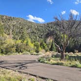 Review photo of lower Lehman Creek Campground — Great Basin National Park by Shawn S., May 10, 2026
