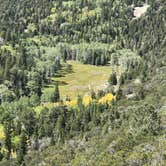 Review photo of Upper Lehman Creek Campground — Great Basin National Park by Patricia N., September 24, 2024