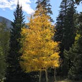 Review photo of Upper Lehman Creek Campground — Great Basin National Park by Patricia N., September 24, 2024