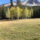 Review photo of Upper Lehman Creek Campground — Great Basin National Park by Patricia N., September 24, 2024