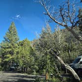 Review photo of Upper Lehman Creek Campground — Great Basin National Park by Shawn S., May 10, 2026