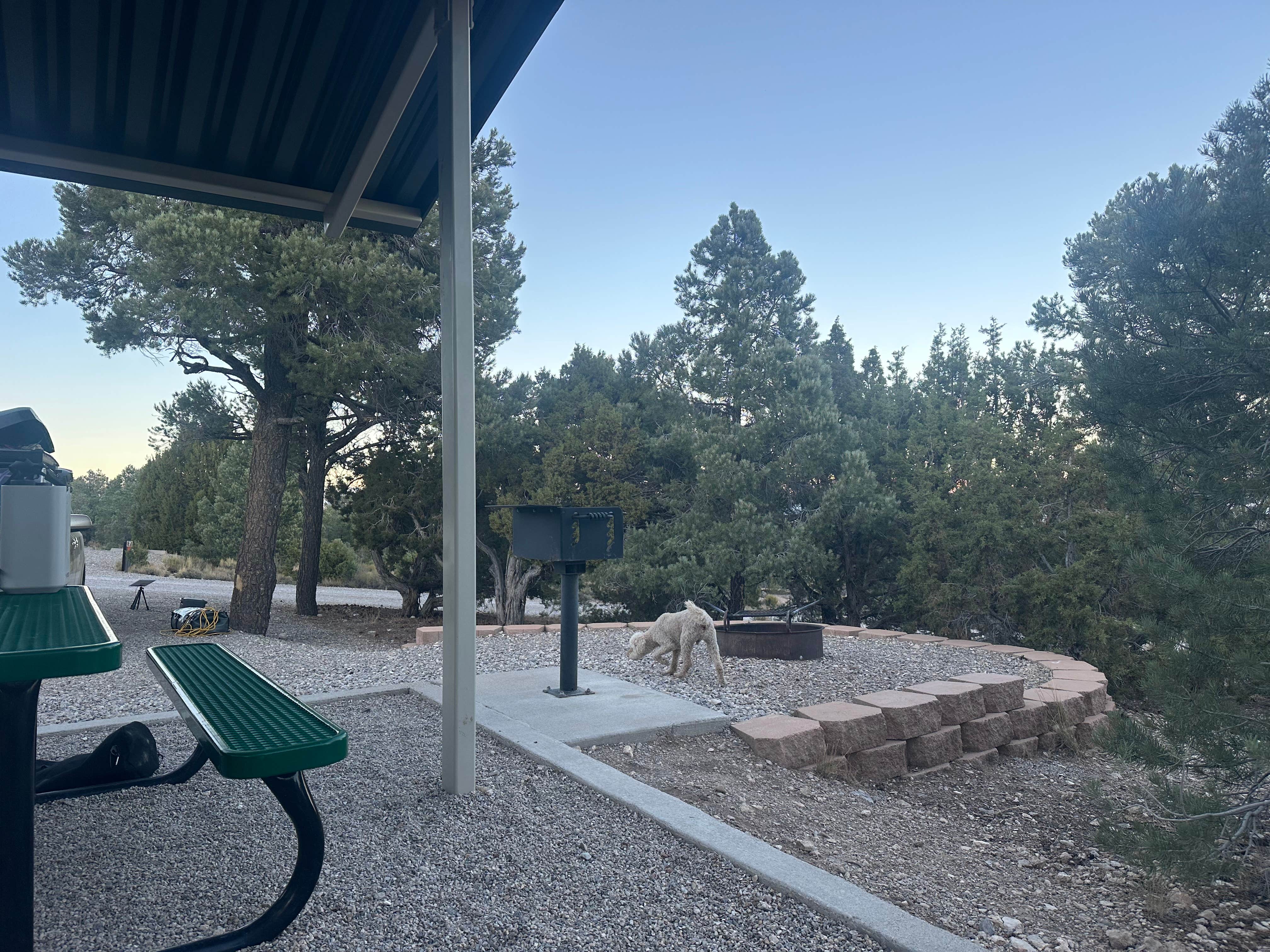Steven O.'s photo of camping with pets at Willow Creek — Ward Charcoal Ovens State Historic Park near Ruth, NV