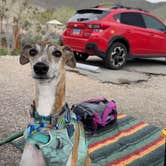 Review photo of Washoe Lake State Park Campground by Allyson L., May 8, 2025