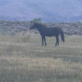 Review photo of Washoe Lake State Park Campground by Dominique J., June 7, 2026