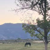 Review photo of Washoe Lake State Park Campground by Dominique J., June 7, 2026