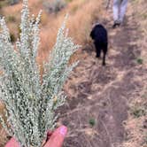 Review photo of Water Canyon Recreation Area by Kirsten G., August 26, 2024