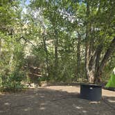 Review photo of Water Canyon Recreation Area by Sabrina D., August 24, 2026