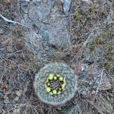 Review photo of Water Canyon Recreation Area by Noel C., May 17, 2025