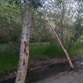 Review photo of Water Canyon Recreation Area by Amber , August 7, 2024