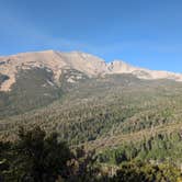 Review photo of Wheeler Peak Campground — Great Basin National Park by Michael G., July 11, 2025