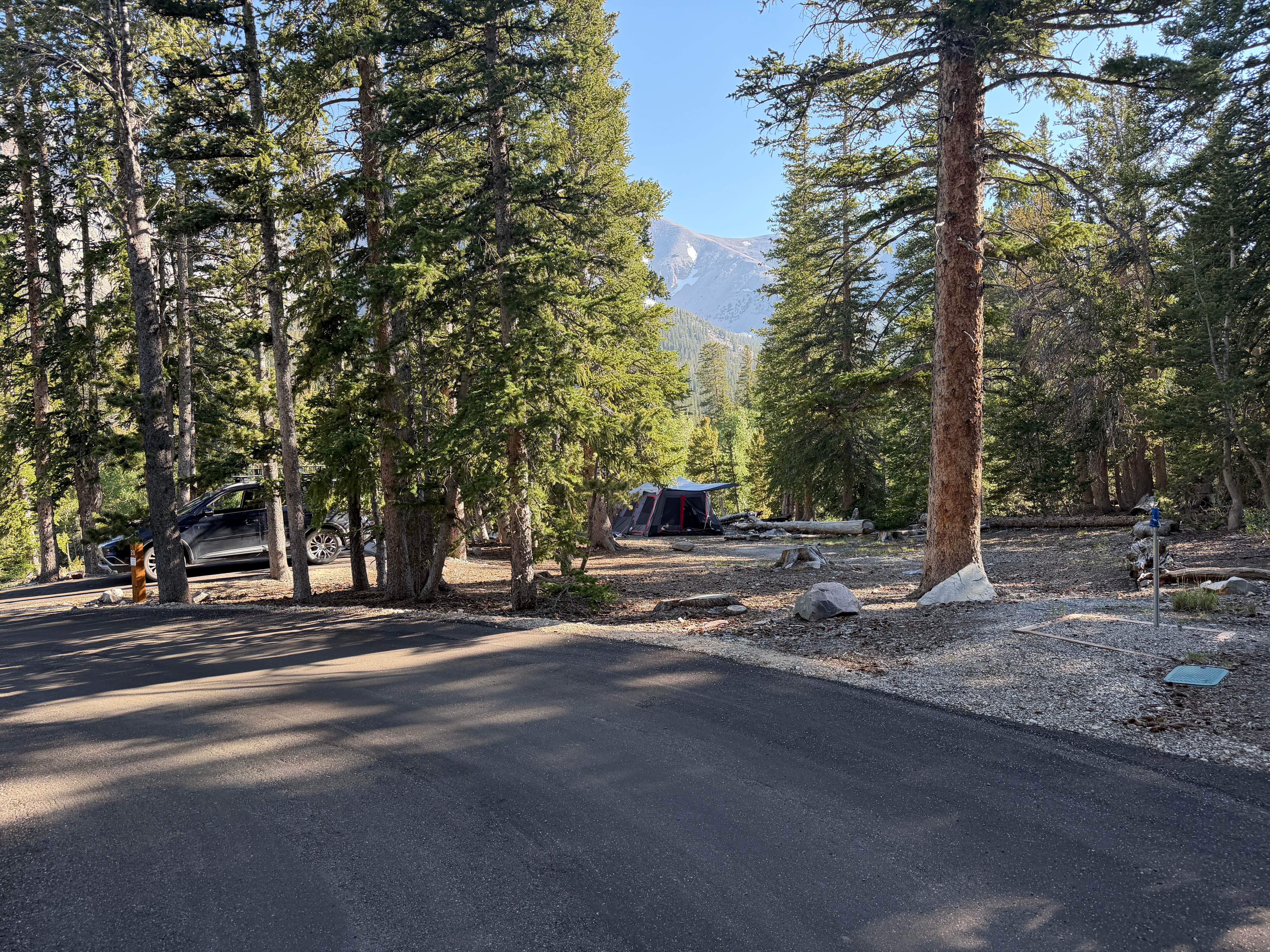 Thomas V.'s photo at Wheeler Peak Campground — Great Basin National Park near Baker, NV