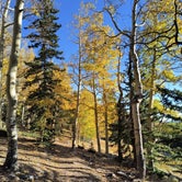 Review photo of Wheeler Peak Campground — Great Basin National Park by Beth M., October 5, 2023