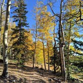 Review photo of Wheeler Peak Campground — Great Basin National Park by Beth M., October 5, 2023