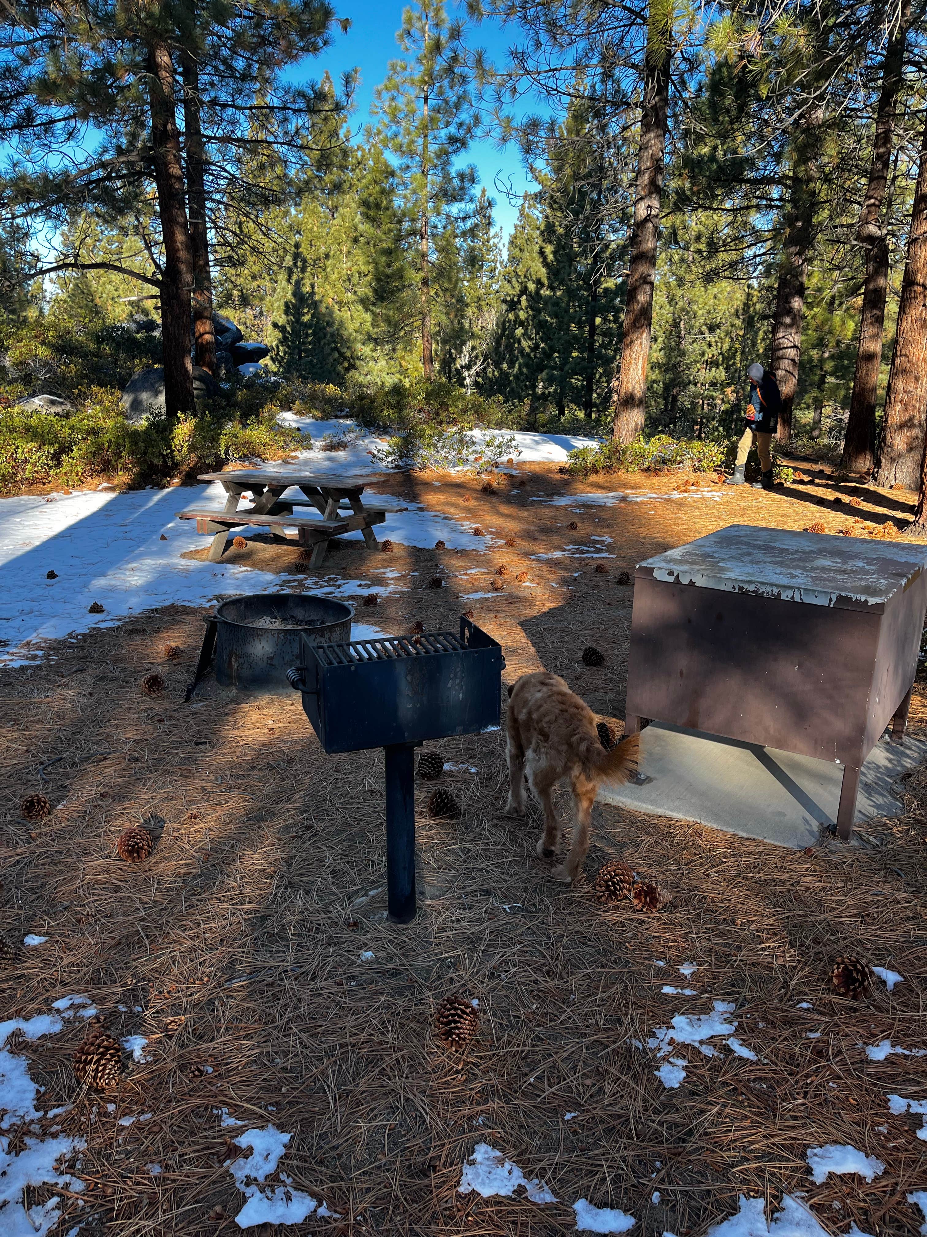 Susan N.'s photo of camping with pets at Zephyr Cove Resort near South Lake Tahoe, CA