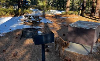 Susan N.'s photo of camping with pets at Zephyr Cove Resort near Kings Beach, CA