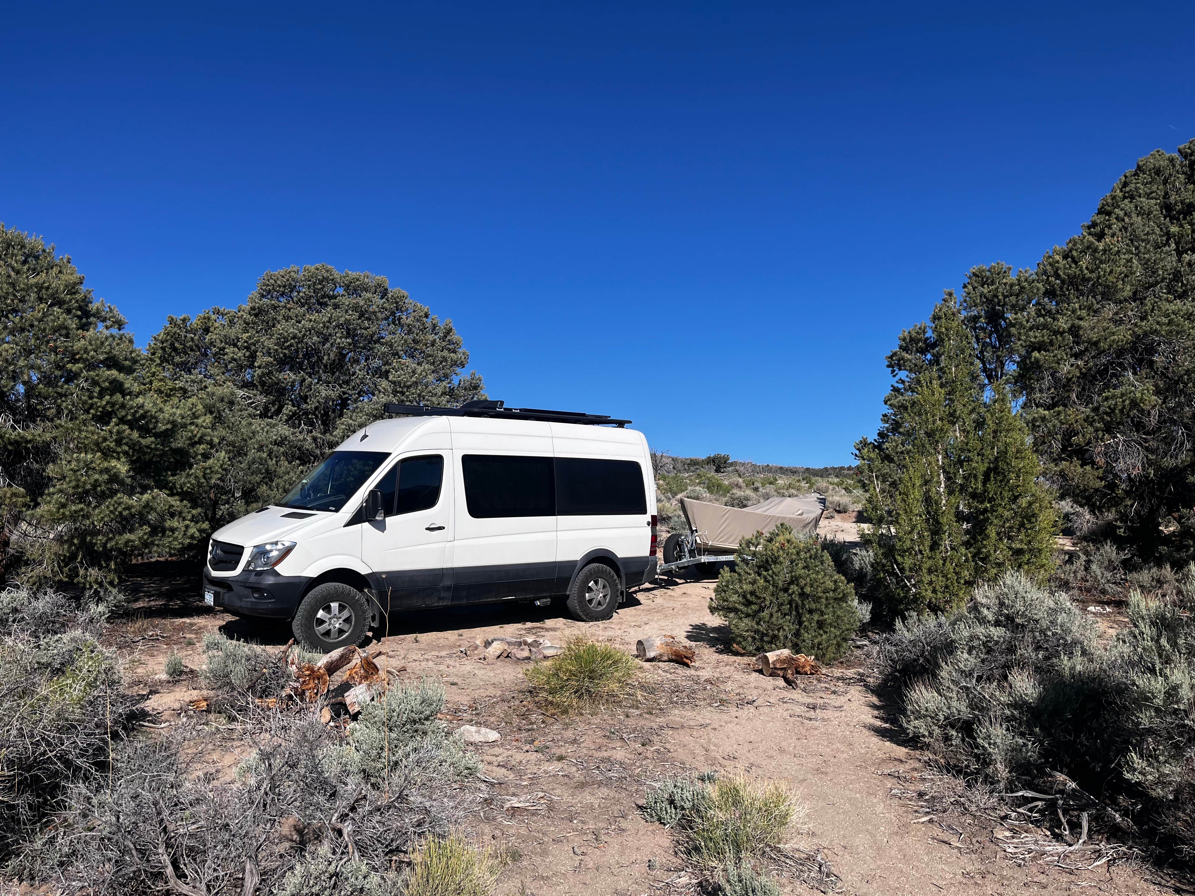 Camping near Sacramento Pass Recreation Area: Strawberry Creek Dispersed Camp, Baker, Nevada