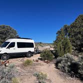Review photo of Strawberry Creek Dispersed Camp by Pamela M., May 30, 2025