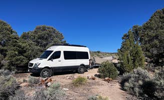 Pamela M.'s photo of rv camping at Strawberry Creek Dispersed Camp near Great Basin National Park
