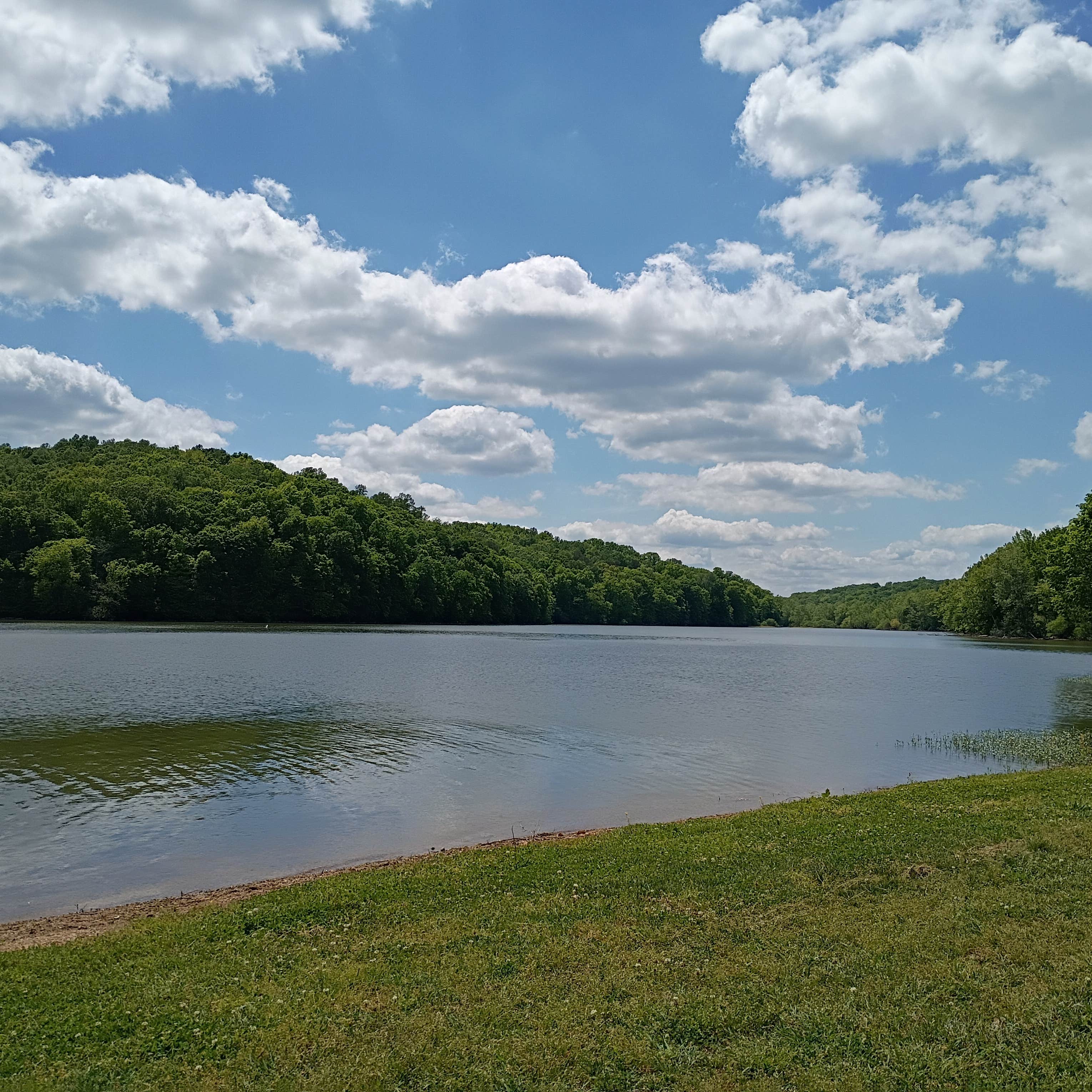 Camper-submitted photo at Neville Bay near Eddyville, KY