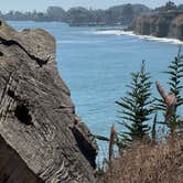 Review photo of New Brighton State Beach Campground by Harold M., September 2, 2026