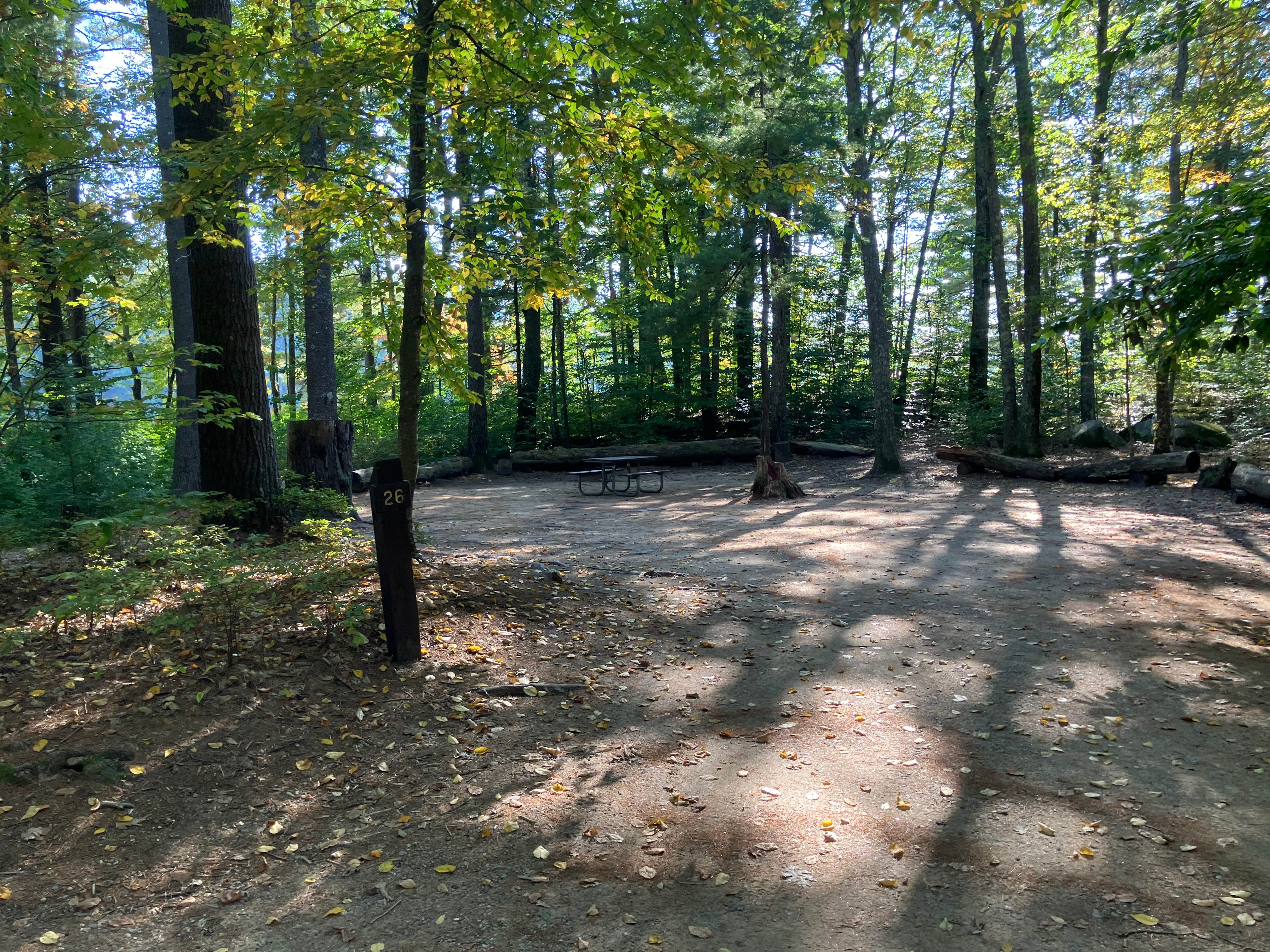Roger W.'s photo of camping with pets at Bear Brook State Park Campground in New Hampshire