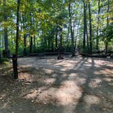 Review photo of Bear Brook State Park Campground by Roger W., October 4, 2023