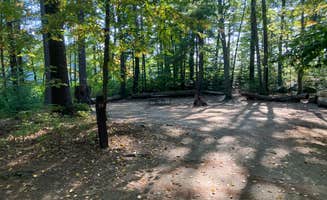 Roger W.'s photo of camping with pets at Bear Brook State Park Campground near Hampton Beach, NH