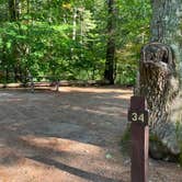 Review photo of Bear Brook State Park Campground by Roger W., October 4, 2023