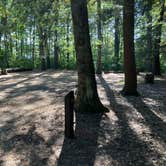 Review photo of Bear Brook State Park Campground by Roger W., October 4, 2023