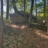 Review photo of Bear Brook State Park Campground by Utshob A., September 2, 2025