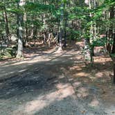 Review photo of Bear Brook State Park Campground by Roger W., October 4, 2023